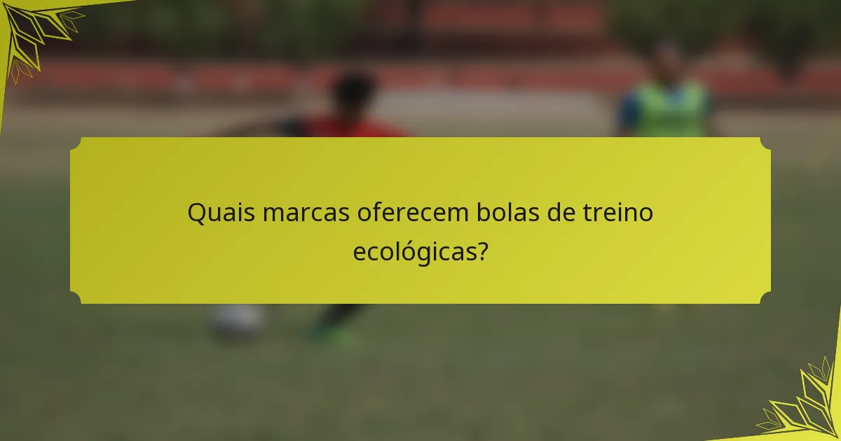 Quais marcas oferecem bolas de treino ecológicas?