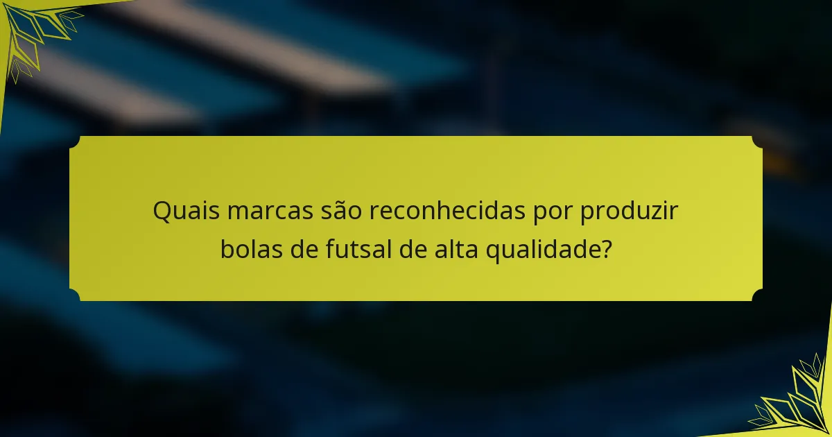 Quais marcas são reconhecidas por produzir bolas de futsal de alta qualidade?