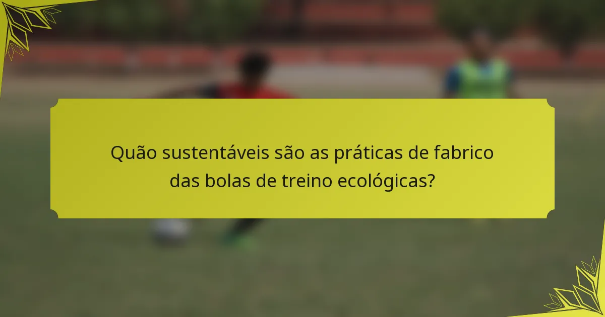 Quão sustentáveis são as práticas de fabrico das bolas de treino ecológicas?